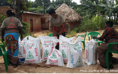 Seeking Solutions in the Midst of a Crisis